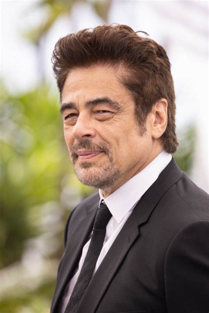 Benicio del Toro Biography, Age, Height, Wife, Net Worth, Family