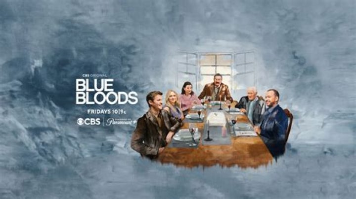 Blue Bloods Season 11 Episode 8 Spoilers: We will finally see who pushed Danny and Baez into t