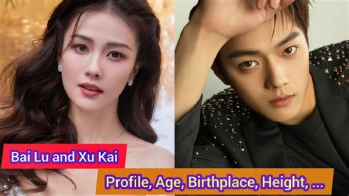 Xu Yifan Biography, Age, Height, Husband, Net Worth, Family