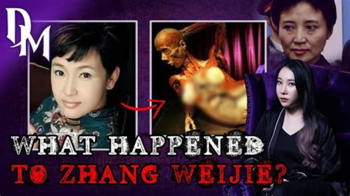 Zhang Weijie Wikipedia And Age: Missing Update 2024